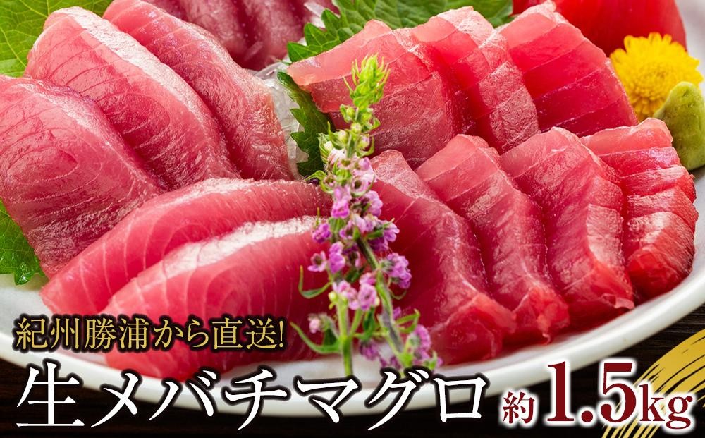 
生まぐろの本場紀州勝浦から直送！　生メバチマグロ 約1.5kg
