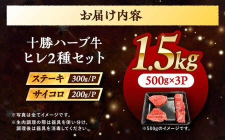 北海道 十勝 ハーブ牛 ヒレステーキ セット 1.5kg  （ミニステーキ300ｇ+コロコロステ ーキ200ｇ）×3 《足寄町》【株式会社ノベルズ食品】[BEAQ061]