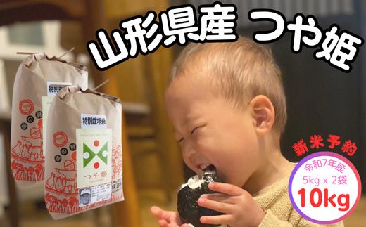 生産者の顔が見える米　つや姫　白米10kg（飯豊町産）【新米予約】