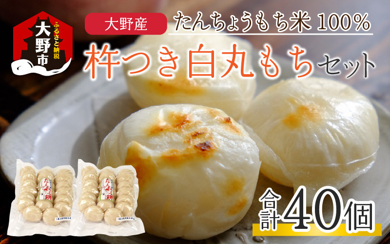 
            【先行予約】【年内配送】「杵つき白丸もちセット40個」(50g × 40個） 大野産たんちょうもち米使用【12月24日までの入金確認分は年内お届け】
          