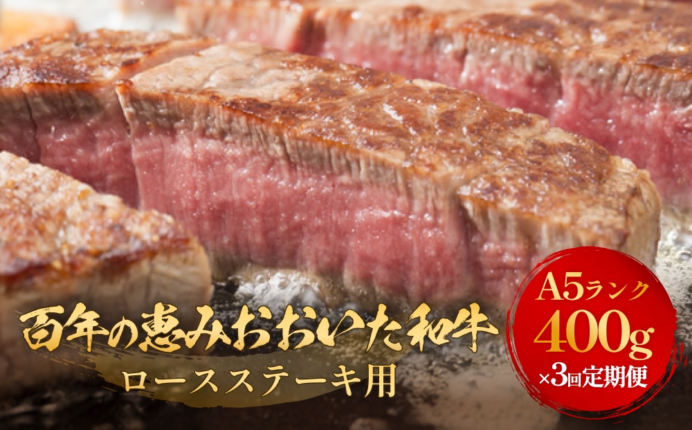 「百年の恵み おおいた和牛 」A5 ロースステーキ用 200g × 2枚 × 3ヶ月 定期便 おおいた和牛 ロースステーキ A5等級 黒毛和牛 大分県産 牛肉 高級肉 霜降り 和牛ステーキ 風味豊か 脂質 種雄牛 血統 高評価 冷凍