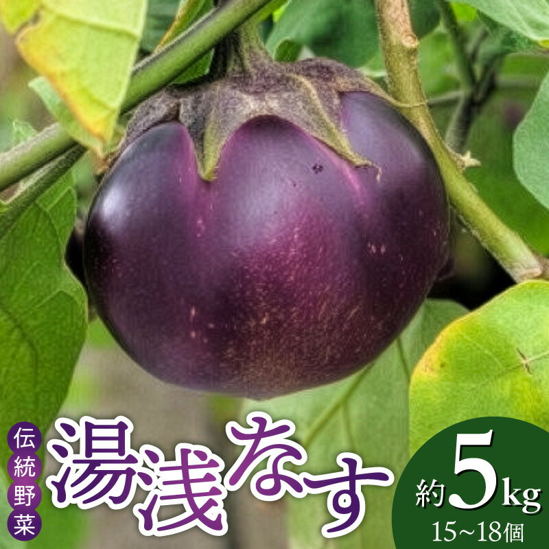 【ふるさと納税】【限定】 【2026年先行予約】 湯浅なす 約5kg 15～18個 なす なすび 丸なす 大型 野菜 伝統野菜 ご当地野菜 和風 洋風 中華料理 麻婆茄子 野菜炒め お取り寄せ 和歌山県 湯浅町 送料無料