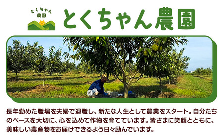 冷凍むき栗 200g とくちゃん農園 菊池市産