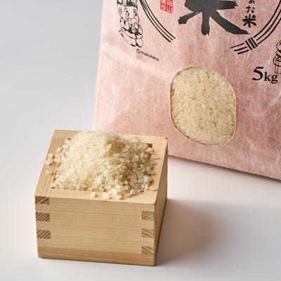 ふるさと納税 美作市 コシヒカリ　いっちょ米(5kg×1袋) |  | 03