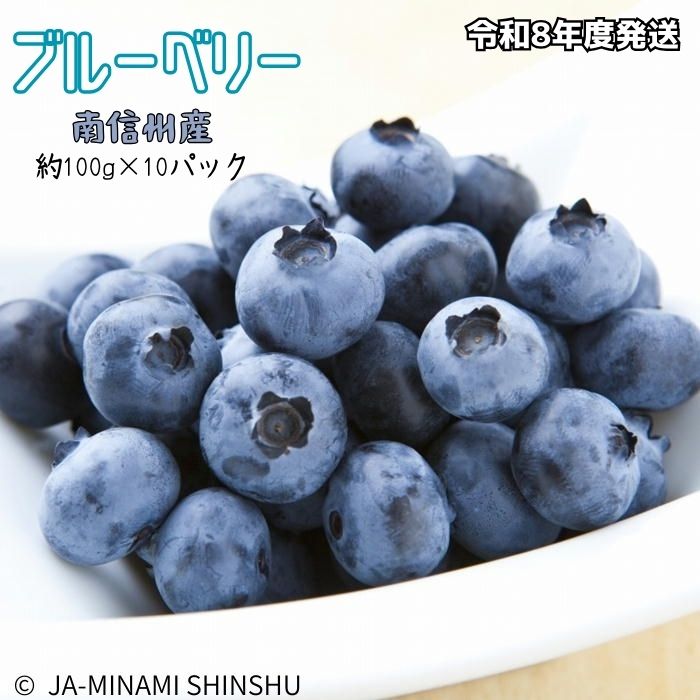 ブルーベリー 秀3L 100gパック×10入り　(令和8年度発送先行予約品)