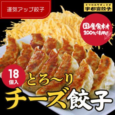 ふるさと納税 宇都宮市 宇都宮餃子 運気アップ餃子　チーズ鶏餃子18個　保存料不使用