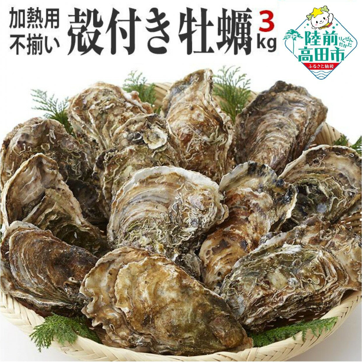 【ふるさと納税】 訳あり 不揃い 殻付き 牡蠣 3kg（約12〜15個前後※大きさにより個数は前後致します）かき 規格外 加熱 冷凍 三陸 陸前高田 岩手 カンカン焼き 魚介類 かき小屋 広田湾