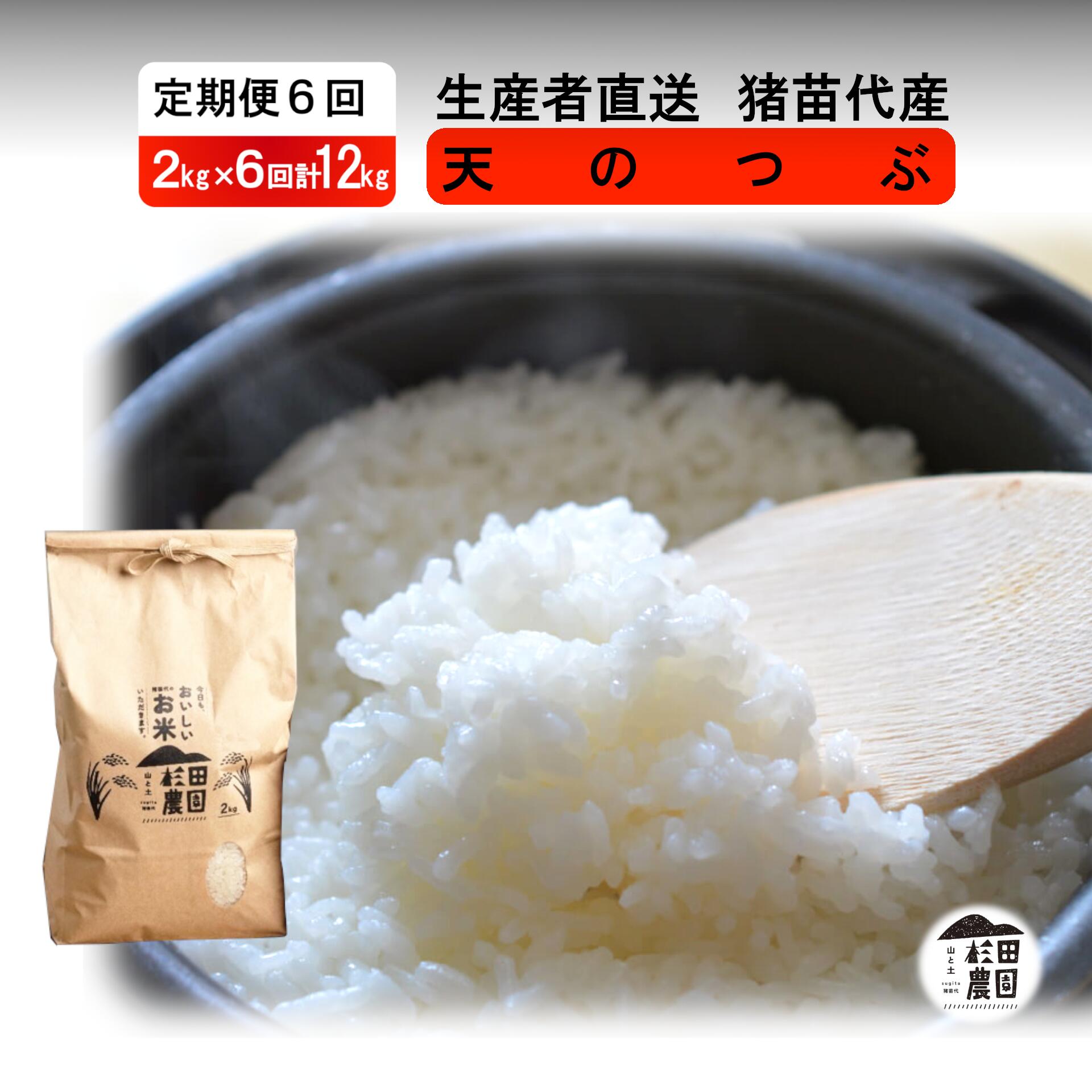 【ふるさと納税】【定期便 6回】【令和7年度産】 米 天のつぶ 12kg(2kg×6回) 白米 精米 | 米 こめ ごはん 2キロ 国産米 ブランド米 福島県産 農家直送 産地直送 生産者直送 杉田農園 家庭用 小分け 精米済み 猪苗代町