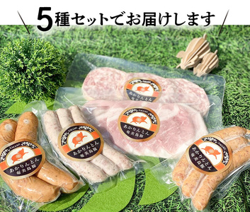 【テレビで紹介】奄美島豚 あかりんとん ソーセージミニセット - ソーセージ 5種 詰め合わせ ミニセット 肉 お肉 島豚 ブランド豚 ホワイト スモーク ジャンボフランク ボロニア ボンレスハム ハ