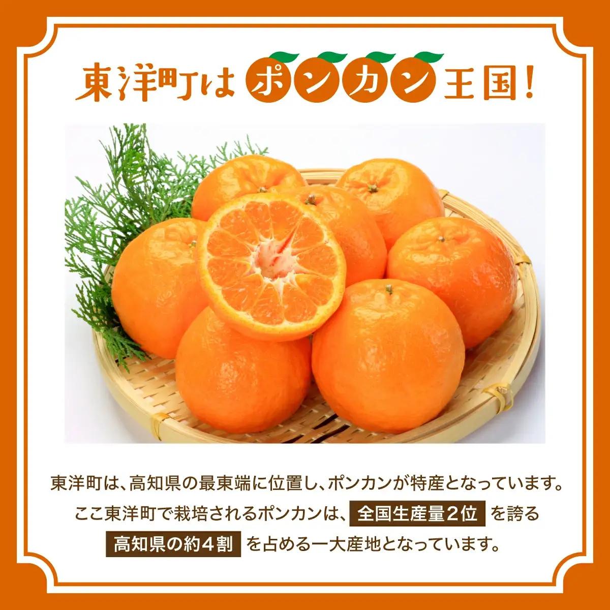 焼き菓子セット MT021