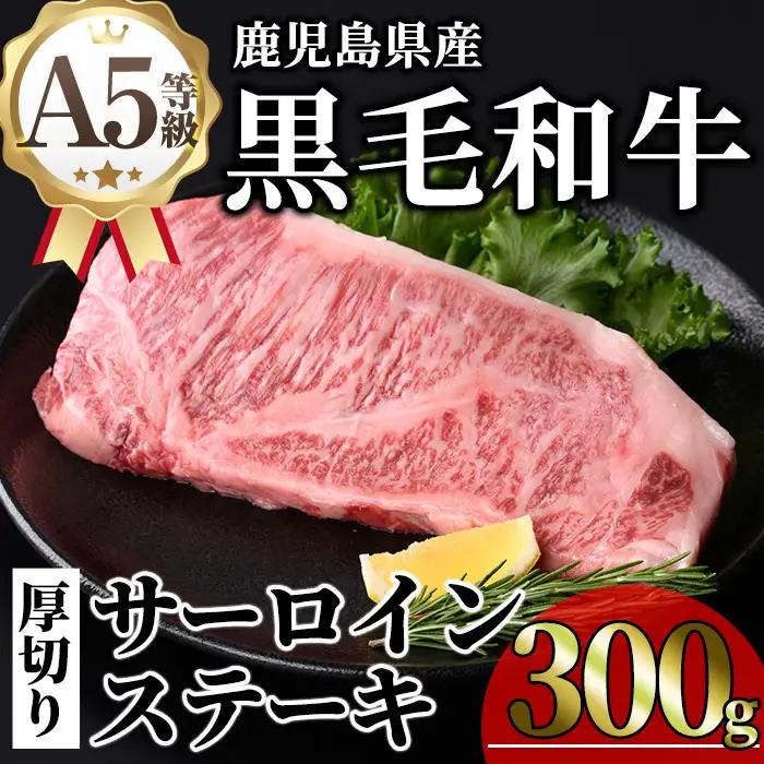 鹿児島県産 A5等級 黒毛和牛 贅沢 厚切り とろける サーロインステーキ (計300g・300g×1枚)【KNOT】B213
