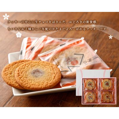 ふるさと納税 古賀市 博多のへそ詰め合わせ |  | 02