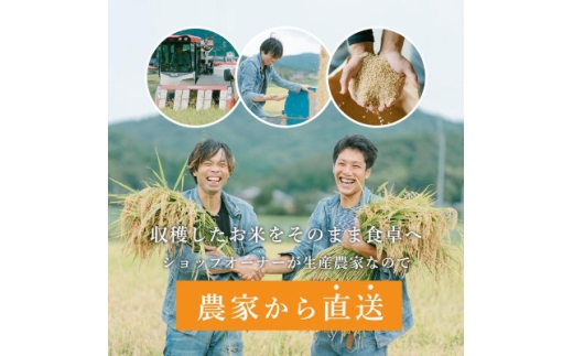 ＜毎月定期便＞京都与謝野町産エナジーこしひかり精米5kg　農家直送全9回【4092865】