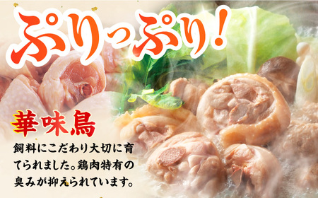 博多華味鳥 水炊きセット(5-6人前) 水炊き 鍋 鳥 パーティー　広川町 / 株式会社コープファーム[AFAS002]