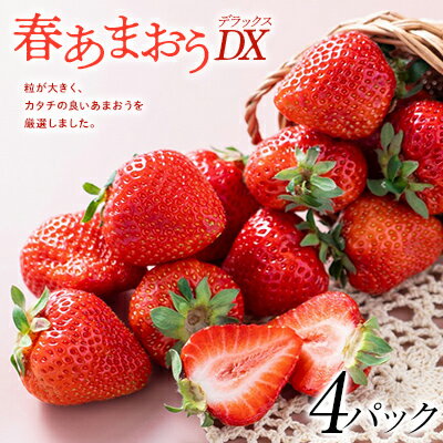 【ふるさと納税】フルーツソムリエが選んだ【春】あまおうDX(デラックス)4パック_ あまおう いちご 苺 イチゴ フルーツ 果物 くだもの ふるーつ 旬 国産 産直 産地直送 冷蔵 ギフト プレゼント 贈り物 送料無料 【配送不可地域：離島】【1353642】