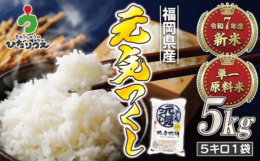 【令和7年産米】【2025年11月より順次発送】JAよりお届け！福岡県ブランド米「元気つくし」 5kg（5kg×1袋）[H2310a]