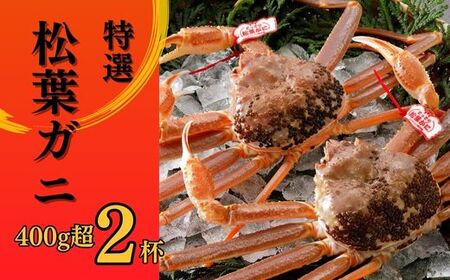 【2025年２月・３月発送】特撰 松葉がに 【タグ付き】 400g超 お手頃サイズ 2杯 活物 松葉ガニ カニ ズワイガニ カニ爪 冷蔵 かにしゃぶ カニ刺身