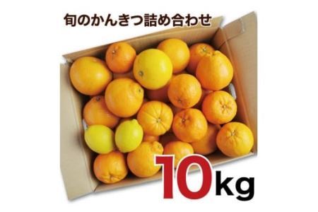 訳アリ 旬のかんきつ詰め合わせ 10kg(B145-5)