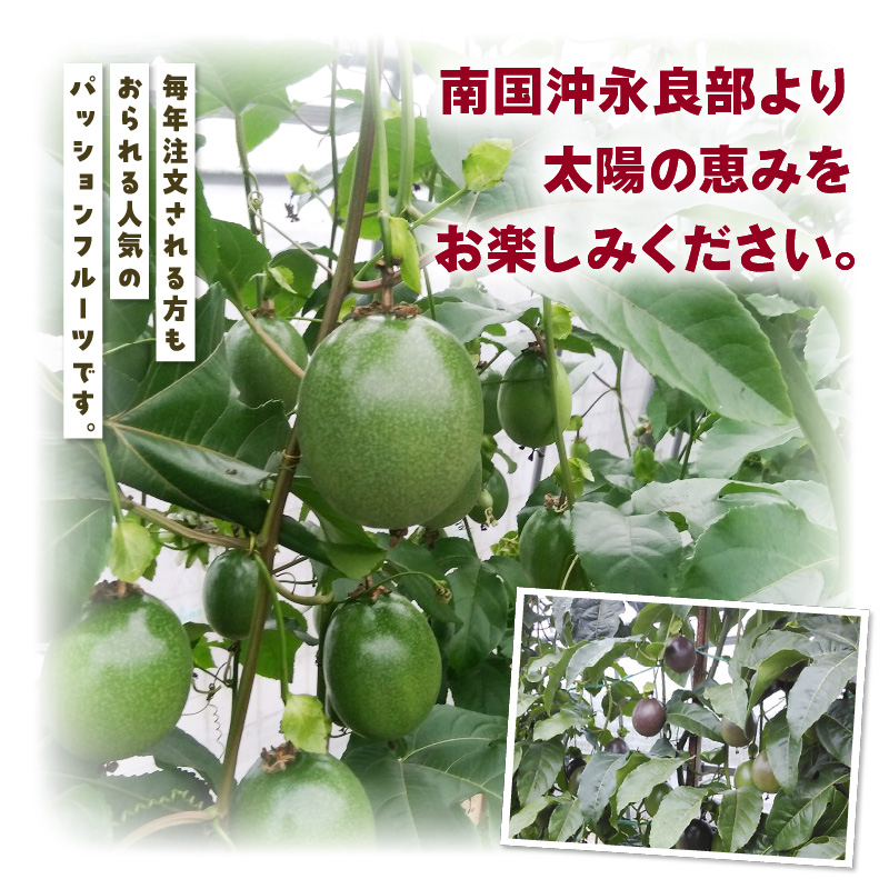 【2025年先行予約】えみちゃん農園 【訳あり】パッションフルーツ（12個入り）　C008-010