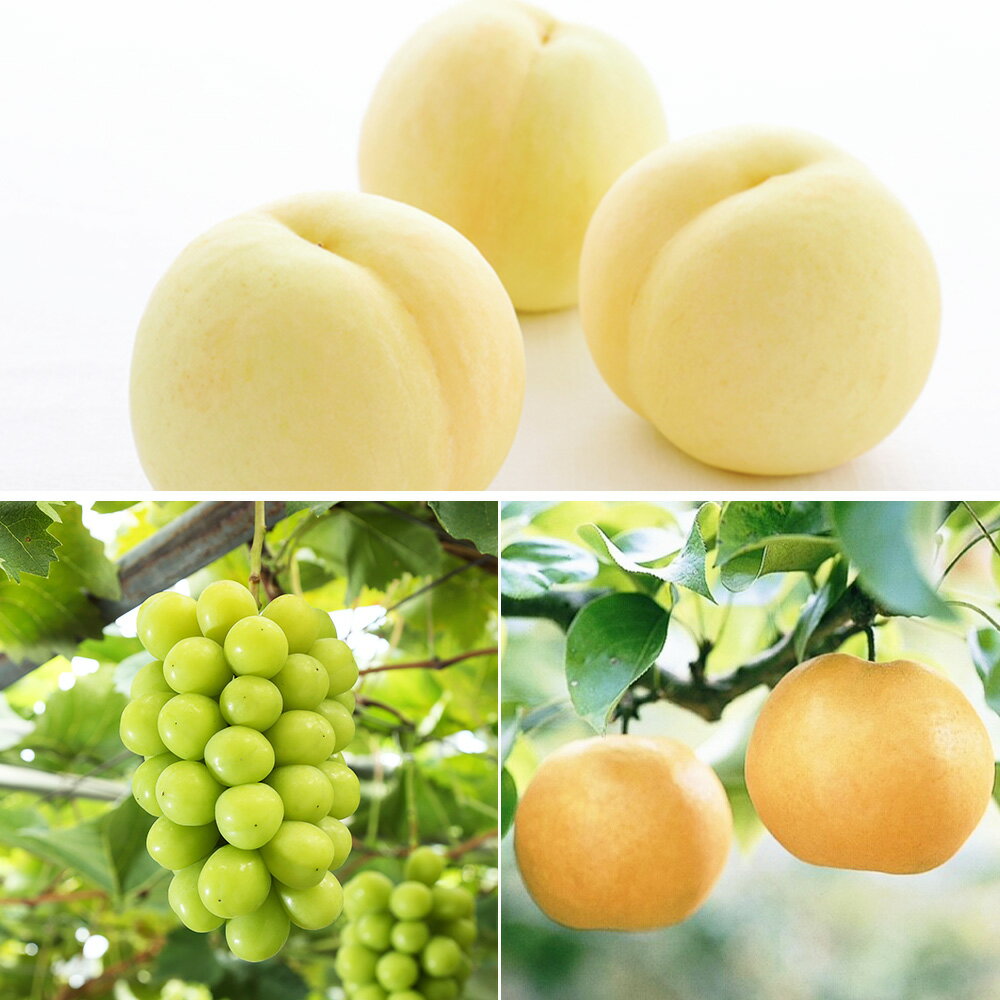 【ふるさと納税】【定期便3回】岡山県産 フルーツ定期便コース 白桃・ シャインマスカット（晴王）・あたご梨 化粧箱入り もも モモ ぶどう 葡萄 くだもの 果物 フルーツ ギフト 贈答 冷蔵 国産 岡山県 美咲町 送料無料 【2026年7月上旬発送開始】