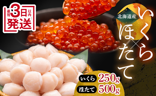 6月発送 笹谷商店 いくら醤油漬け250g＆ほたて貝柱500g F4F-7866