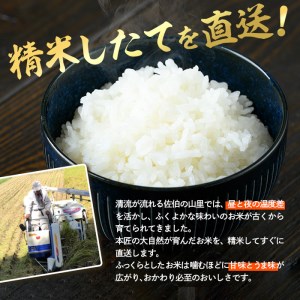 ＜令和5年産＞大分ひのひかり(計10kg・5kg×2袋) 米 ひのひかり ヒノヒカリ 精米 白米 大分県産 大分県 佐伯市【AJ80】【 (有)ケーキ大使館クアンカ・ド－ネ】