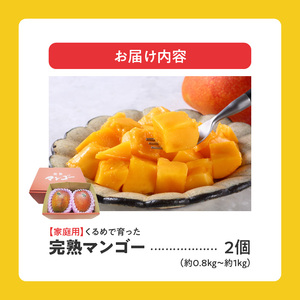 【2026年6月以降お届け】【家庭用】くるめで育った完熟マンゴー（2玉：約0.8～1kg）_先行予約 家庭用 くるめで育った 完熟マンゴー 2個 約0.8～1kg 甘い 子供も安心 果物 果実 スイー