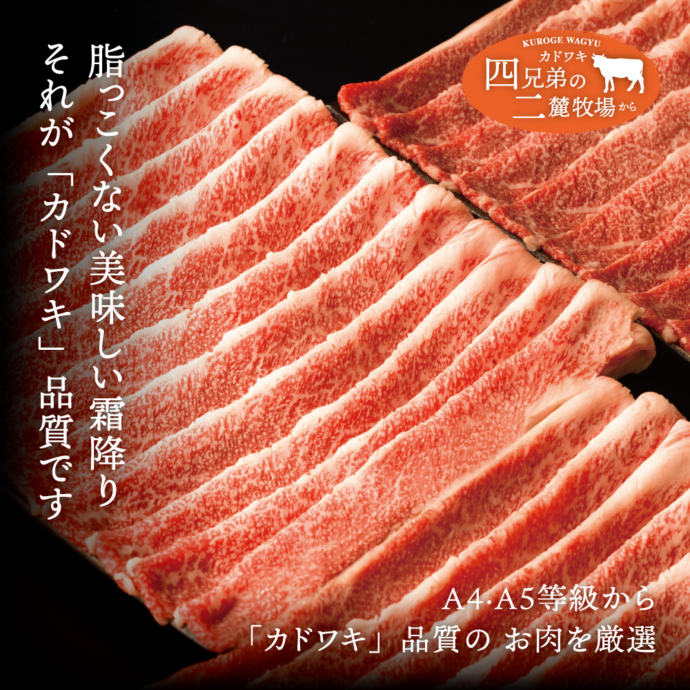 A4･A5「二麓（にろく）霜降り」黒毛和牛（大判）切り落とし 1.5kg（250g×6）ニセコ連峰と鈴鹿山脈、二つの麓（ふもと）で育てた脂の質にこだわった美味しい霜降りをリーズナブルに_イメージ2