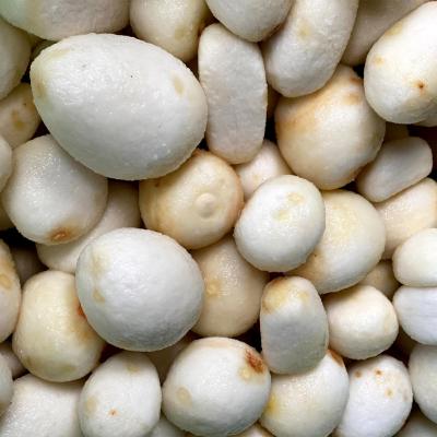 ふるさと納税 津和野町 ねっとりと濃い味わいの里芋〈皮むき〉400g×3パック