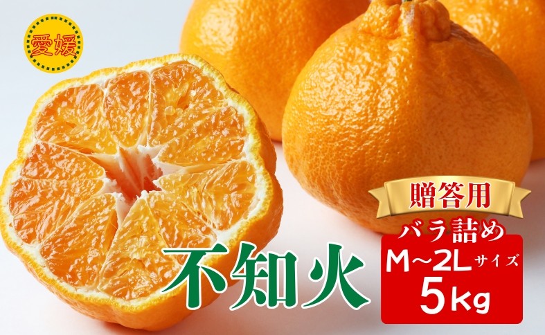 
                  【2027年先行予約】みかん 不知火 M〜２Lサイズ 5kg バラ詰め 贈答用 【2027年3月中旬順次発送予定】 数量限定 愛媛みかん ミカン 蜜柑 果物 くだもの フルーツ 柑橘 かんきつ 柑橘類 おすすめ 人気 国産 伊予市 愛媛｜B562
                