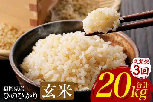 【3回定期便】【ふるさと納税】ひのひかり 米 お米 玄米 20kg 20キロ 福岡県産 うきは市 国産 精米 ご飯 ごはん おにぎり お弁当 人気 おすすめ 家庭用 送料無料 新米 ストック 厳選 農家直送 大容量【JA福岡くるめ にじの耳納の里】