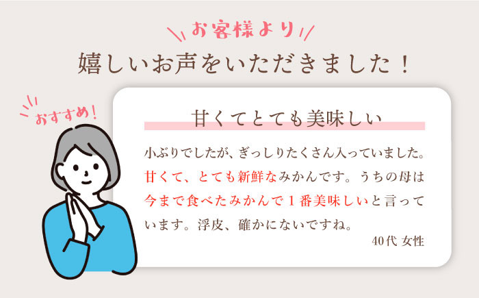 みかん 【秀品】 石地みかん 10kg