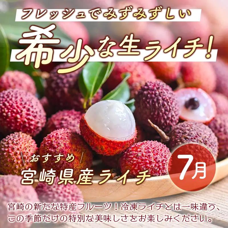 2027年出荷 新富町 特産フルーツ 詰め合わせ 定期便 9か月コース くだもの マンゴー ライチ メロン シャインマスカット ぶどう 柑橘 国産 F151-27