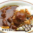 【ふるさと納税】レトルトカレー セット 5食 博多和牛 牛すじカレー 200g×5 レトルト カレー 牛肉 肉 お肉 レトルト食品 じっくり煮込んだバリうま ゴロッと入ったコラーゲン♪　【朝倉市】