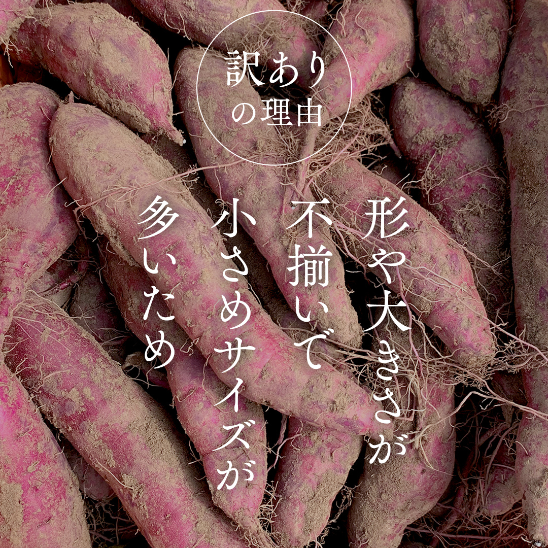 【 先行予約 】【 9月中旬 発送開始 】【 訳あり 】 さつまいも ！ 紅はるか 5kg サツマイモ 芋 いも べにはるか 茨城 美味しい おいしい ワケアリ 訳アリ [BK09-NT]_イメージ3