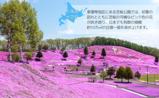 【先行予約】玉ねぎ Lサイズ 20kg 大空町産（2026年10月上旬より発送） OSR009