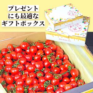 太陽の恵みをたっぷり浴びた はにかみトマト 1kg ミニトマト  真岡市 栃木