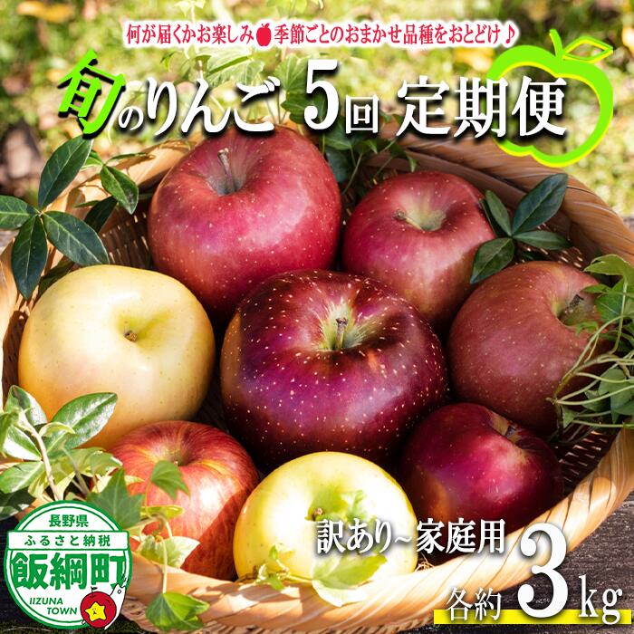 【ふるさと納税】 おまかせりんご定期便 3kg × 5回 訳あり 家庭用 永野農園 沖縄県への配送不可 〔 果物 フルーツ 林檎 長野 予約 農家直送 不揃い 規格外 3キロ 定期便 〕【令和7年度収穫分】 発送：2025年8月上旬〜