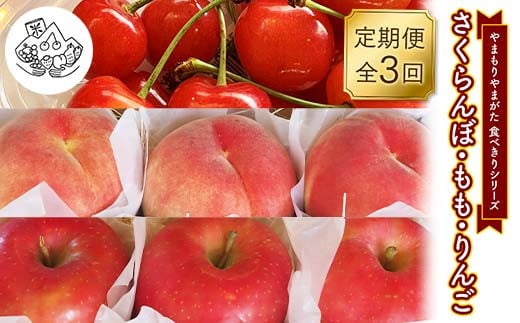 【先行予約 2025年度発送】《食べきりシリーズ》～さくらんぼ・もも・りんご～ FSY-1867