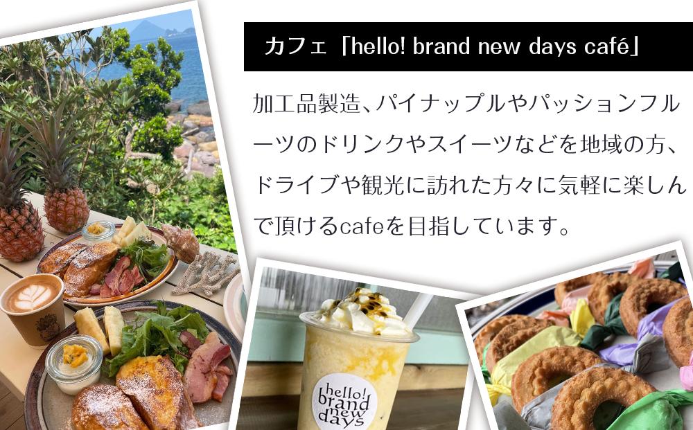先行予約 ☆ 濱田農園 パッションフルーツ ☆ 2kg 家庭用