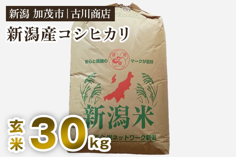 
                  【令和7年産】新潟県加茂市産コシヒカリ 玄米 30kg 《順次発送》 一等米 お米の専門店 古川商店
                