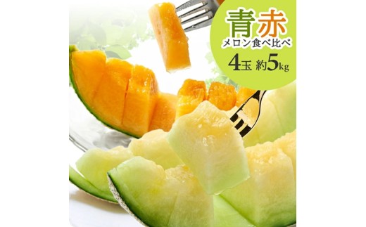 メロン食べ比べ『品種おまかせ(青肉・赤肉)メロン 』　約5kg 計4玉(各2玉入) SB0925