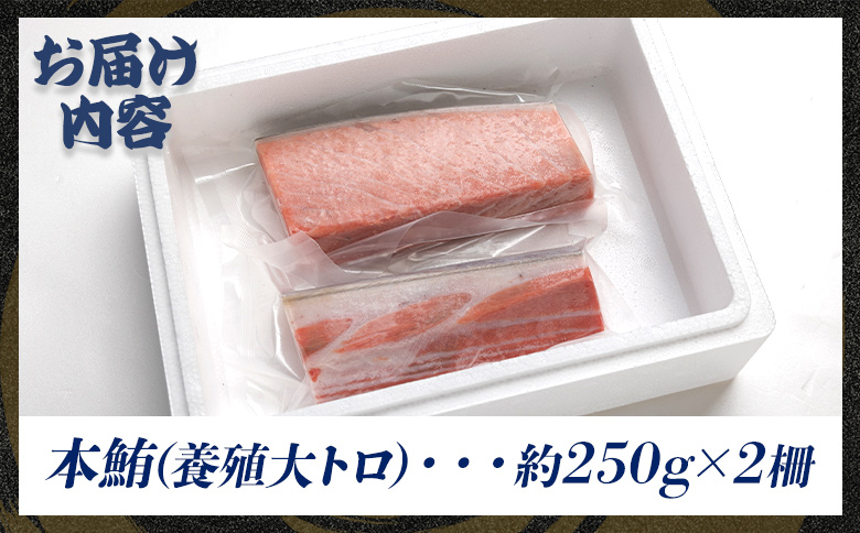 本マグロ 養殖大トロ 約500g 2冊 oo-0001