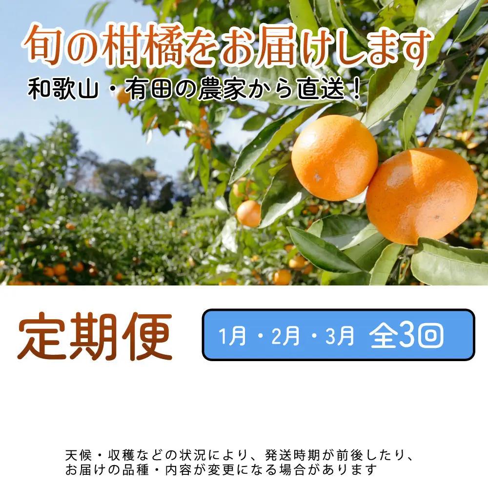 家庭用 柑橘定期便S（1～3月）全3回 ［IKE303］