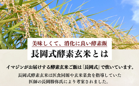 【定期便6回】酵素玄米ごはん(長岡式)16個