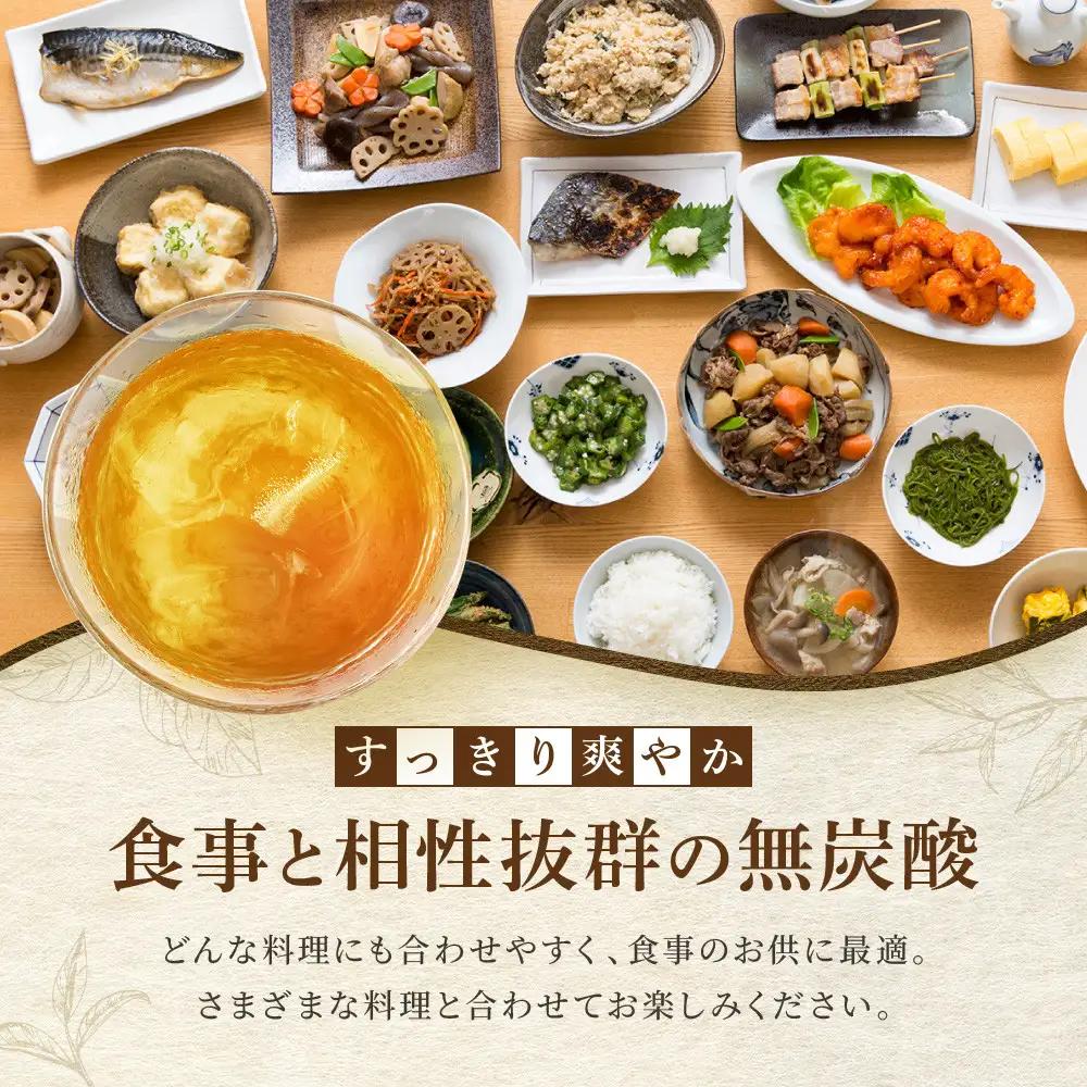 【タカラ】宝焼酎の烏龍割り(480ml×24本) ｜京都 チューハイ 酎ハイ サワー 人気セット 酎ハイ