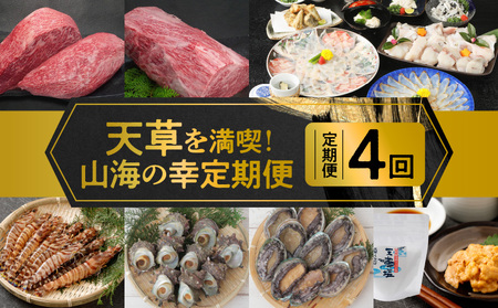 S999-T12_【定期便4回】どでかく堪能！山海の幸定期便