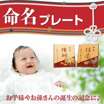 ふるさと納税 南九州市 誕生の記念に 命名プレート