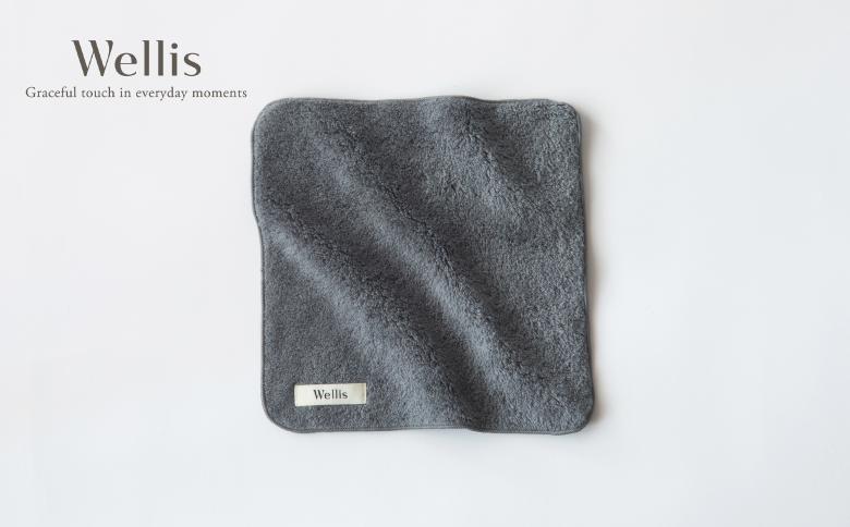 
                  Wellis【極上の肌心地】タオルハンカチ2枚 グレー（009_5129）
                