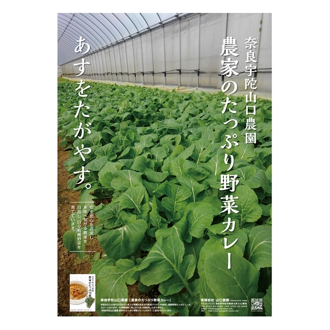 農家のたっぷり野菜カレー　２０個／山口農園 有機野菜 オーガニック 伝統野菜 レトルト 詰め合わせ カレー ギフト カレーセット スパイス 飯 キャンプお取り寄せ 奈良県 宇陀市 送料無料 おかず ご